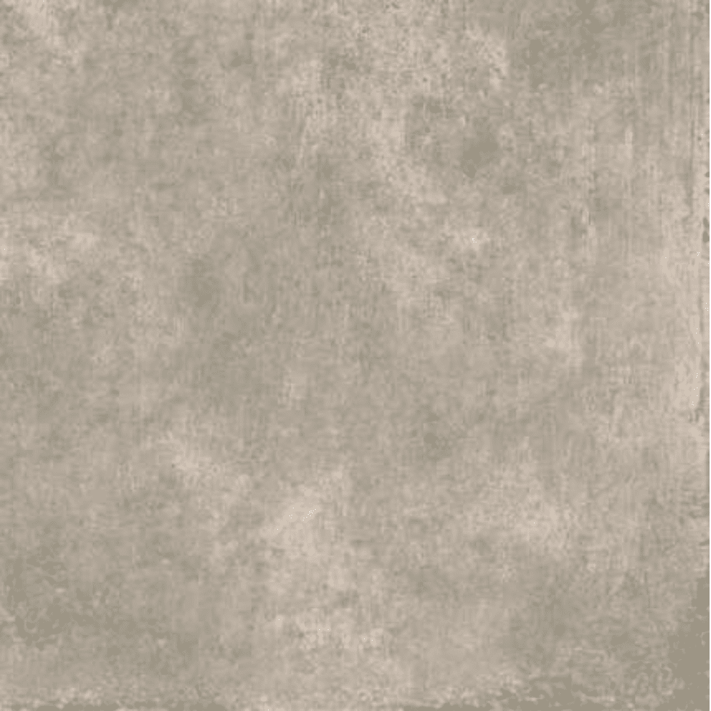 grey miniwalk ascot