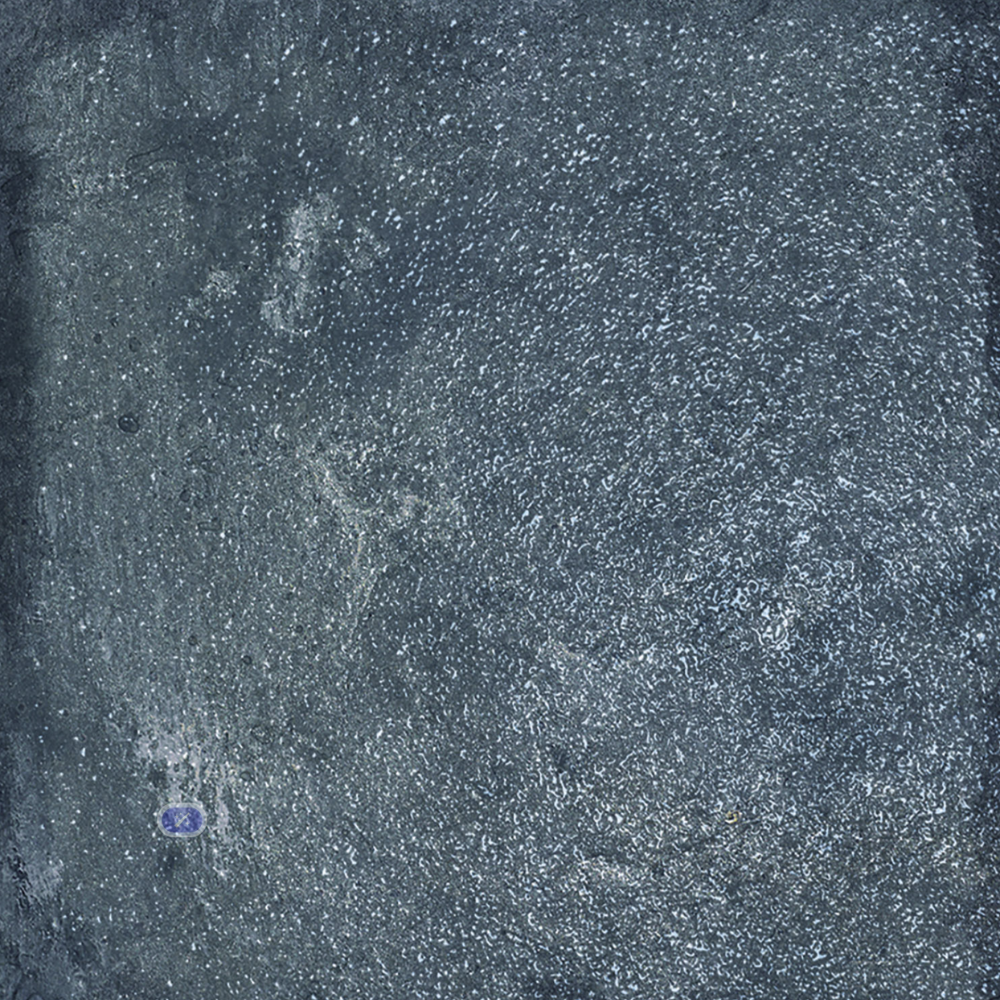 Covington Blue Covington Blue