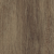 cortina-nut
