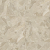 cosmo-comet-cream