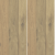 springwood-gold